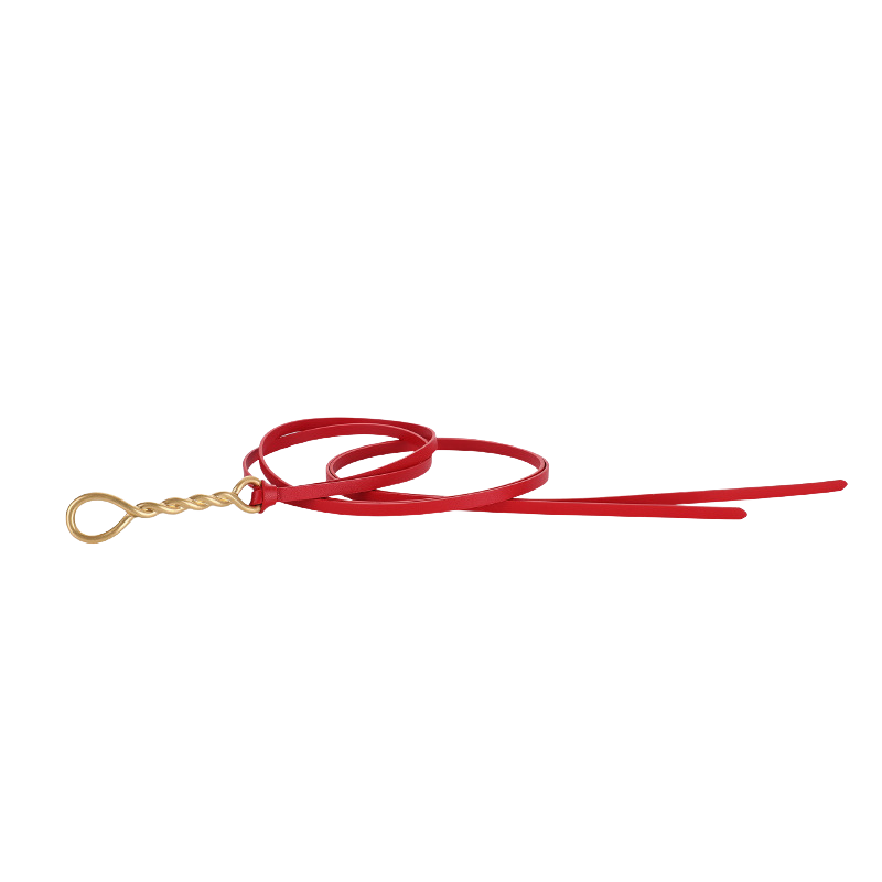 Ceinture Séraphine rouge en cuir de vachette refendu avec un fermoir torsadé doré, à nouer.